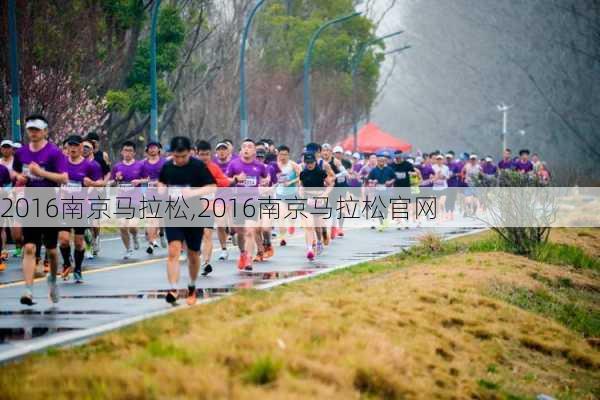 2016南京马拉松,2016南京马拉松官网