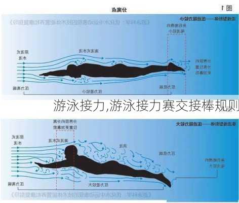 游泳接力,游泳接力赛交接棒规则