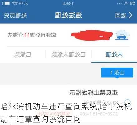 哈尔滨机动车违章查询系统,哈尔滨机动车违章查询系统官网