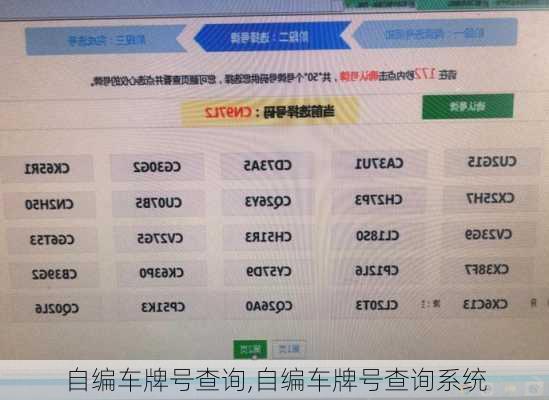 自编车牌号查询,自编车牌号查询系统