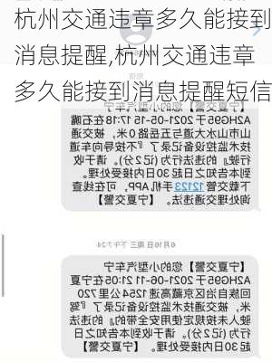 杭州交通违章多久能接到消息提醒,杭州交通违章多久能接到消息提醒短信