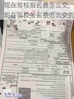 现在驾校报名费怎么交,现在驾校报名费怎么交的