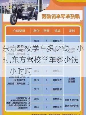 东方驾校学车多少钱一小时,东方驾校学车多少钱一小时啊