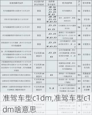 准驾车型c1dm,准驾车型c1dm啥意思