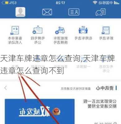 天津车牌违章怎么查询,天津车牌违章怎么查询不到