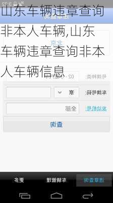 山东车辆违章查询非本人车辆,山东车辆违章查询非本人车辆信息