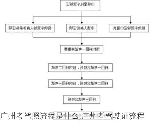 广州考驾照流程是什么,广州考驾驶证流程