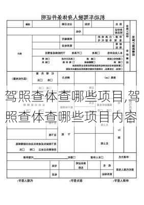 驾照查体查哪些项目,驾照查体查哪些项目内容