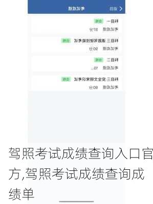 驾照考试成绩查询入口官方,驾照考试成绩查询成绩单