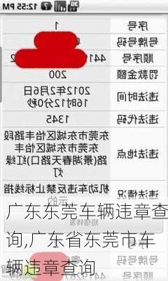 广东东莞车辆违章查询,广东省东莞市车辆违章查询