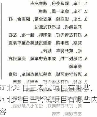 河北科目三考试项目有哪些,河北科目三考试项目有哪些内容