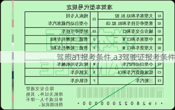 驾照a1报考条件,a3驾驶证报考条件