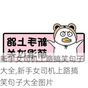 新手女司机上路搞笑句子大全,新手女司机上路搞笑句子大全图片