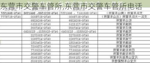 东营市交警车管所,东营市交警车管所电话