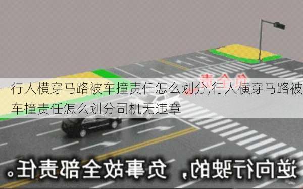 行人横穿马路被车撞责任怎么划分,行人横穿马路被车撞责任怎么划分司机无违章