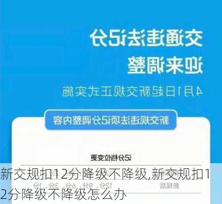 新交规扣12分降级不降级,新交规扣12分降级不降级怎么办