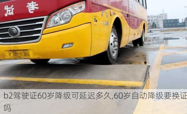 b2驾驶证60岁降级可延迟多久,60岁自动降级要换证吗