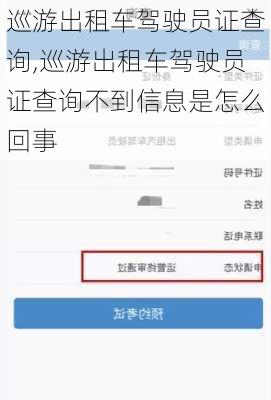 巡游出租车驾驶员证查询,巡游出租车驾驶员证查询不到信息是怎么回事