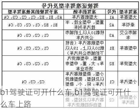 b1驾驶证可开什么车,b1驾驶证可开什么车上路