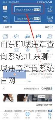 山东聊城违章查询系统,山东聊城违章查询系统官网