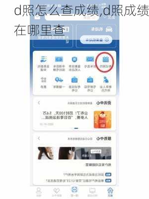 d照怎么查成绩,d照成绩在哪里查