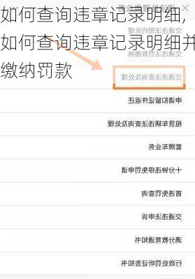 如何查询违章记录明细,如何查询违章记录明细并缴纳罚款