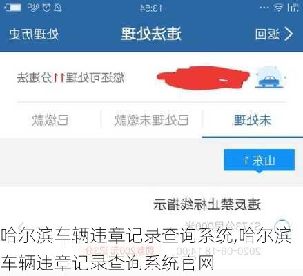 哈尔滨车辆违章记录查询系统,哈尔滨车辆违章记录查询系统官网