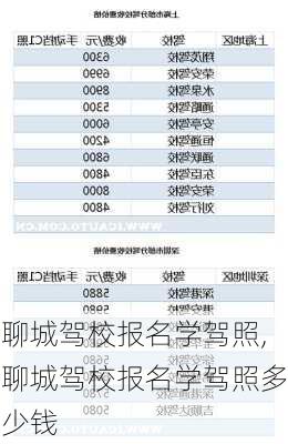 聊城驾校报名学驾照,聊城驾校报名学驾照多少钱