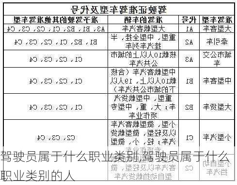 驾驶员属于什么职业类别,驾驶员属于什么职业类别的人