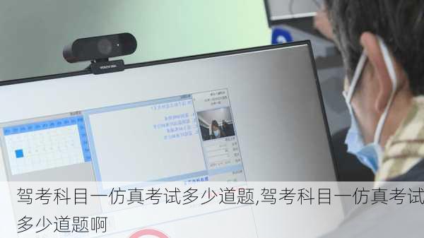 驾考科目一仿真考试多少道题,驾考科目一仿真考试多少道题啊