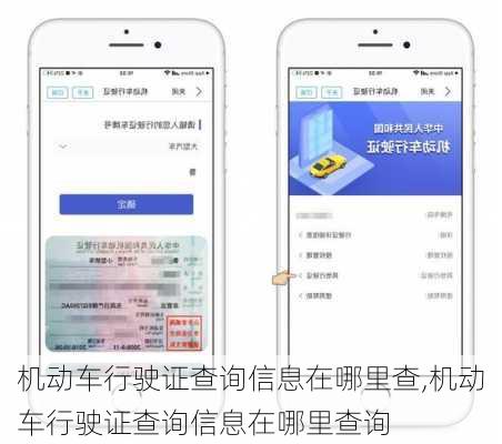 机动车行驶证查询信息在哪里查,机动车行驶证查询信息在哪里查询