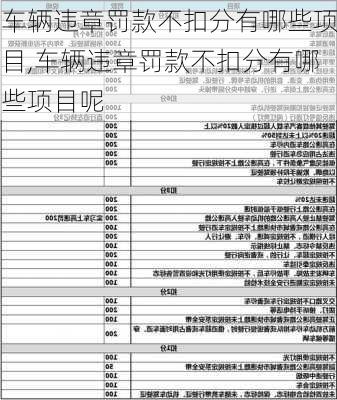 车辆违章罚款不扣分有哪些项目,车辆违章罚款不扣分有哪些项目呢