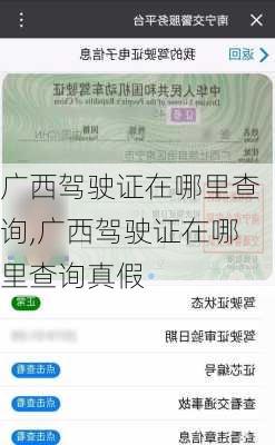 广西驾驶证在哪里查询,广西驾驶证在哪里查询真假