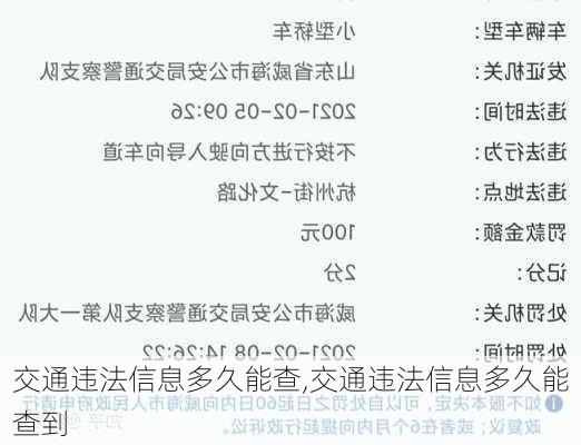 交通违法信息多久能查,交通违法信息多久能查到