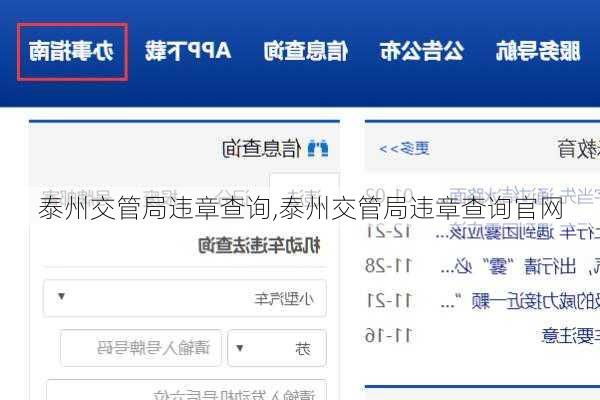 泰州交管局违章查询,泰州交管局违章查询官网