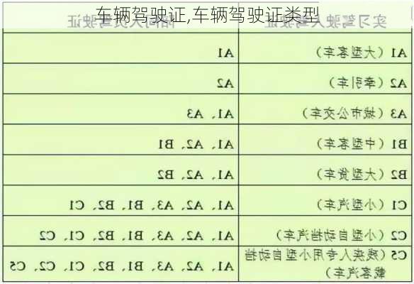 车辆驾驶证,车辆驾驶证类型