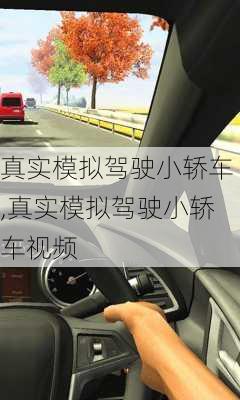 真实模拟驾驶小轿车,真实模拟驾驶小轿车视频