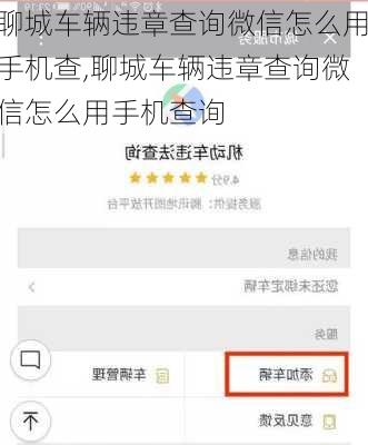聊城车辆违章查询微信怎么用手机查,聊城车辆违章查询微信怎么用手机查询