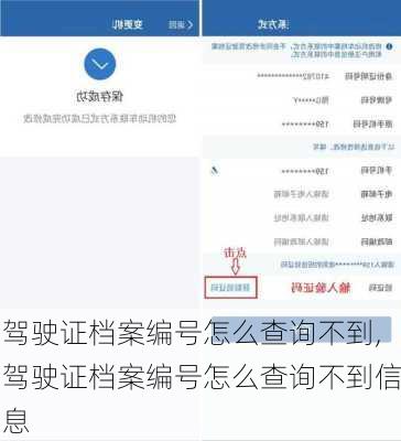 驾驶证档案编号怎么查询不到,驾驶证档案编号怎么查询不到信息