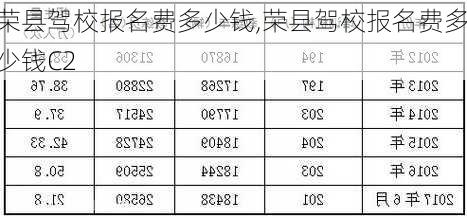 荣县驾校报名费多少钱,荣县驾校报名费多少钱C2