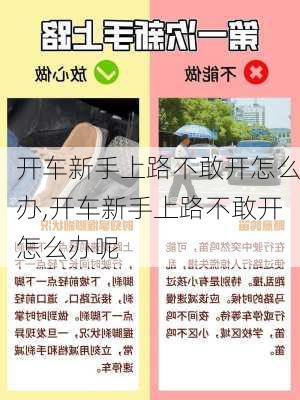 开车新手上路不敢开怎么办,开车新手上路不敢开怎么办呢