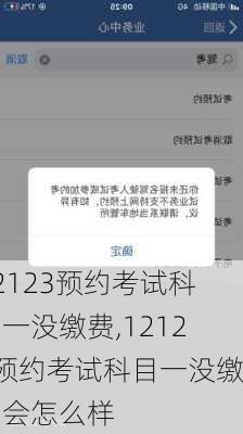 12123预约考试科目一没缴费,12123预约考试科目一没缴费会怎么样