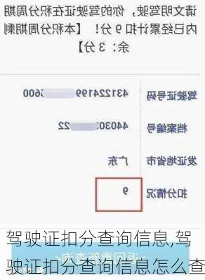 驾驶证扣分查询信息,驾驶证扣分查询信息怎么查