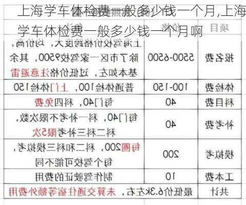 上海学车体检费一般多少钱一个月,上海学车体检费一般多少钱一个月啊