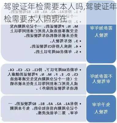 驾驶证年检需要本人吗,驾驶证年检需要本人吗现在