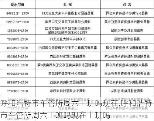 呼和浩特市车管所周六上班吗现在,呼和浩特市车管所周六上班吗现在上班吗