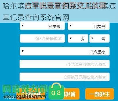 哈尔滨违章记录查询系统,哈尔滨违章记录查询系统官网