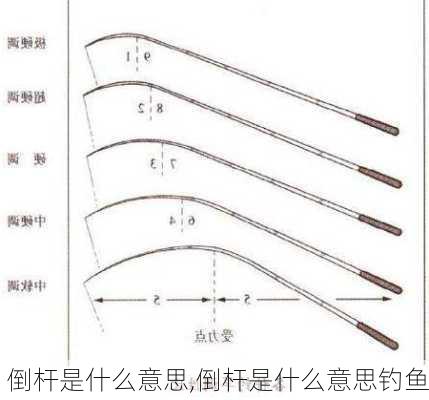 倒杆是什么意思,倒杆是什么意思钓鱼