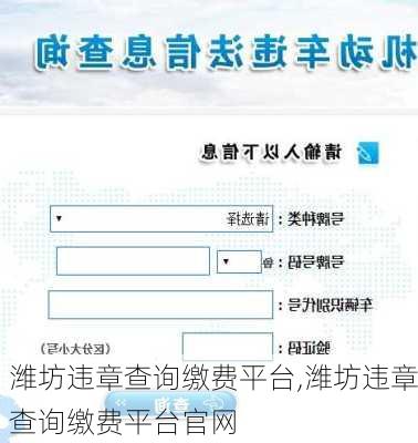 潍坊违章查询缴费平台,潍坊违章查询缴费平台官网