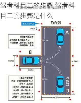 驾考科目二的步骤,驾考科目二的步骤是什么